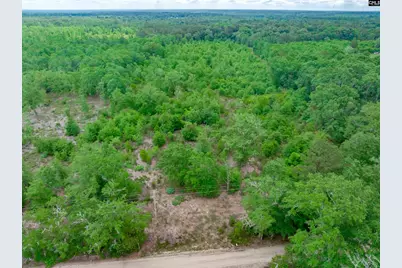 0 Seivern Road, Wagener, SC 29164 - Photo 10