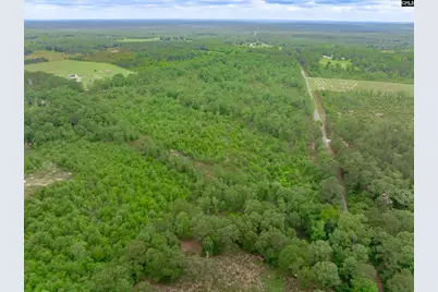 0 Seivern Road, Wagener, SC 29164 - Photo 6