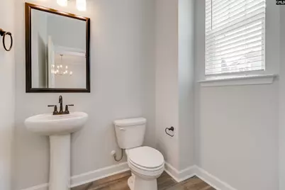 641 Falling Leaf Lane, Chapin, SC 29036 - Photo 14