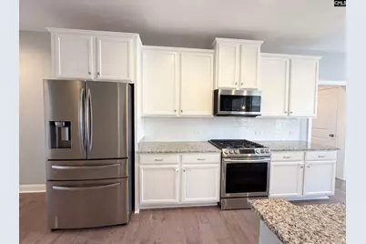 209 Lacecap Road, Elgin, SC 29045 - Photo 2