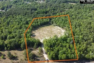 0 Browns Pond Rd, Wagener, SC 29164 - Photo 1