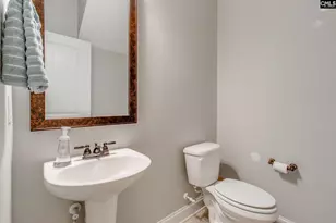 141 Cherokee Pond Ct, Lexington, SC 29072 - Photo 14