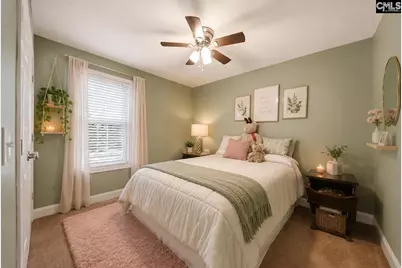 109 Kerry Gibbons Drive, Chapin, SC 29036 - Photo 16