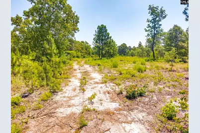 443 Hound Hollow Road, Camden, SC 29020 - Photo 10
