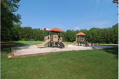16 Wildhorse Court, Irmo, SC 29063 - Photo 52
