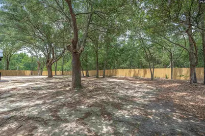 274 Swansea Road, Swansea, SC 29160 - Photo 14