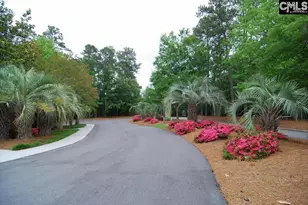 121 Frasier Bay Rd, Columbia, SC 29229 - Photo 52