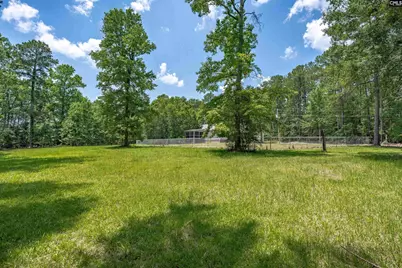 131 Mule Trail, Gilbert, SC 29054 - Photo 60