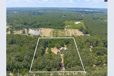 131 Mule Trail, Gilbert, SC 29054 - Photo 6