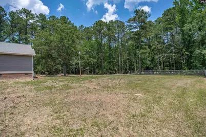 131 Mule Trail, Gilbert, SC 29054 - Photo 64