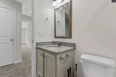 172 Wisley Garden Drive, Lexington, SC 29073 - Photo 8