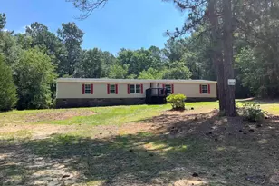 2091 W E Jeffcoat Rd, Pelion, SC 29123 - Photo 10