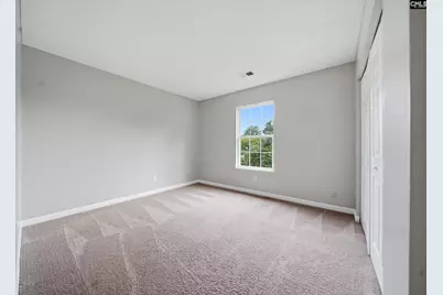 305 Cutter Court, Chapin, SC 29036 - Photo 24