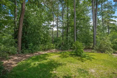 7 Tavern Court, Blythewood, SC 29016 - Photo 64