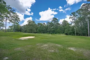 7 Tavern Ct, Blythewood, SC 29016 - Photo 66