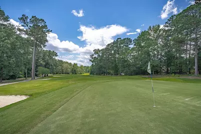 7 Tavern Court, Blythewood, SC 29016 - Photo 68