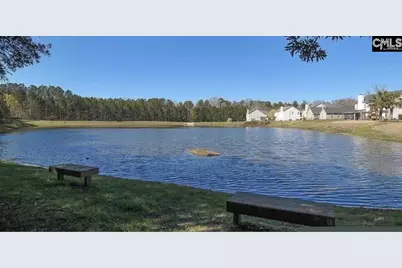 332 Buckthorne Drive, Lexington, SC 29072 - Photo 28