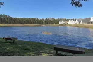 332 Buckthorne Dr, Lexington, SC 29072 - Photo 28