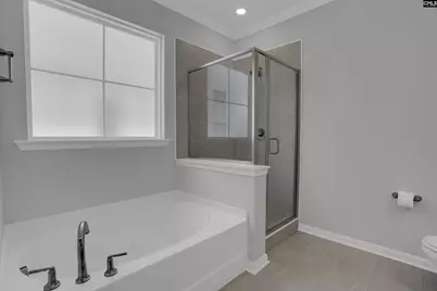 254 Horse Farm Place, Lexington, SC 29072 - Photo 28