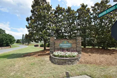 308 Bonhomme Court, Lexington, SC 29072 - Photo 50
