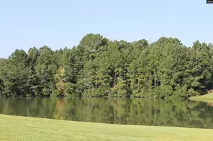 42 Upper Loop Way, Columbia, SC 29212 - Photo 32