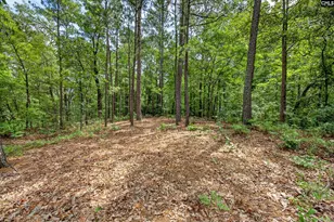 213 Lakeview Rd, Eastover, SC 29044 - Photo 40