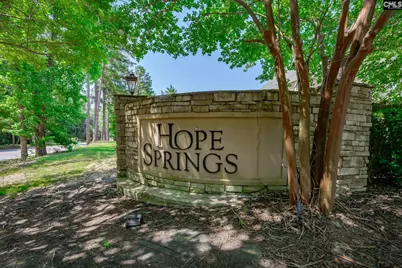 178 Hope Springs Road, Lexington, SC 29072 - Photo 94