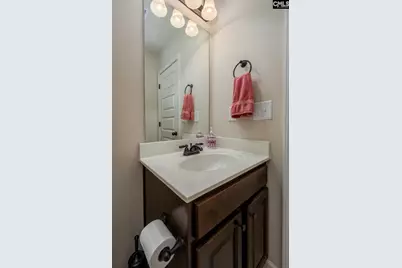178 Hope Springs Road, Lexington, SC 29072 - Photo 64