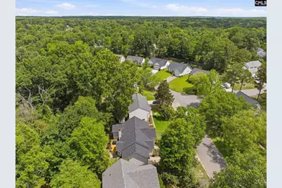 1321 Riverwalk Way, Irmo, SC 29063 - Photo 6