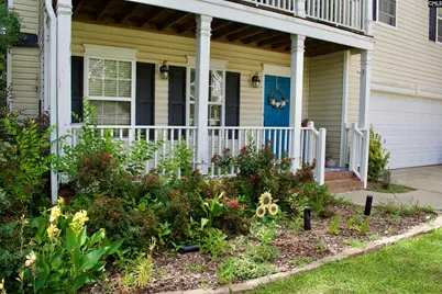 31 Pipestove Court SE, Irmo, SC 29063 - Photo 6