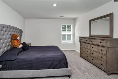 582 Stone Hollow Drive, Irmo, SC 29063 - Photo 52