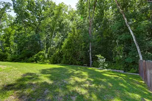 582 Stone Hollow Dr, Irmo, SC 29063 - Photo 6
