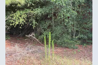 545 Flinns Road, Hartsville, SC 29550 - Photo 10