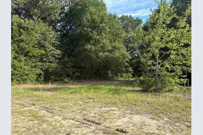 545 Flinns Road, Hartsville, SC 29550 - Photo 6