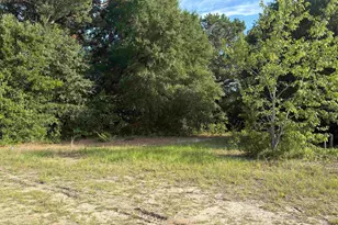 545 Flinns Rd, Hartsville, SC 29550 - Photo 6