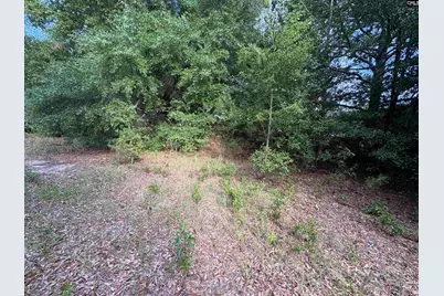 545 Flinns Road, Hartsville, SC 29550 - Photo 14