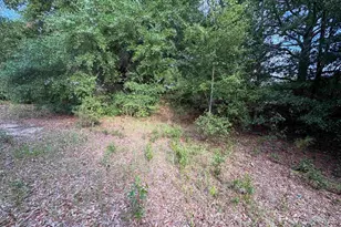 545 Flinns Rd, Hartsville, SC 29550 - Photo 14