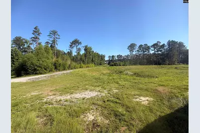 309 Oristo Ridge Way, West Columbia, SC 29170 - Photo 28