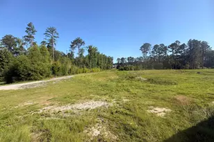 309 Oristo Ridge Way, West Columbia, SC 29170 - Photo 28