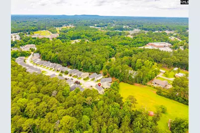 54 Revelstone Way Way, Chapin, SC 29036 - Photo 40