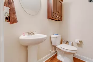 54 Revelstone Way, Chapin, SC 29036 - Photo 14
