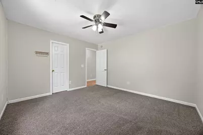 224 Walkbridge Way, Chapin, SC 29036 - Photo 34