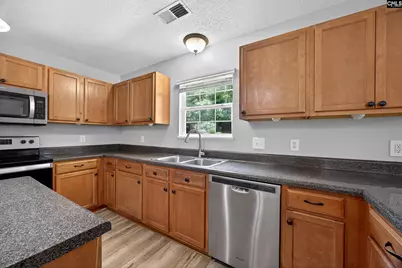 224 Walkbridge Way, Chapin, SC 29036 - Photo 12