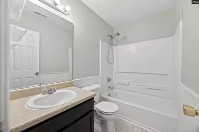224 Walkbridge Way, Chapin, SC 29036 - Photo 36