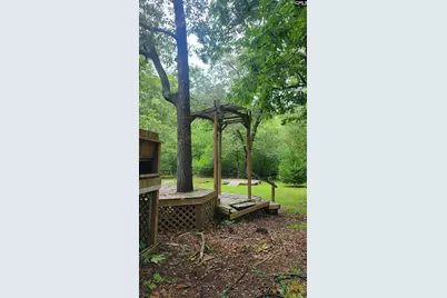 742 Elbert Taylor Road, Gilbert, SC 29054 - Photo 52