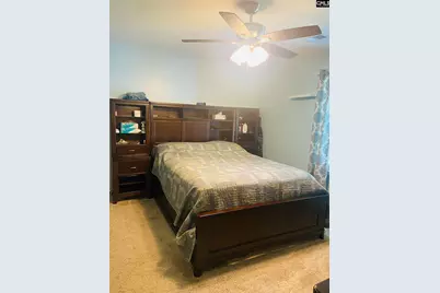 296 Wahoo Circle, Irmo, SC 29063 - Photo 22