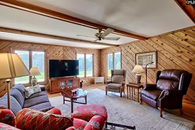 307 Old Bush River Road, Chapin, SC 29036 - Photo 10