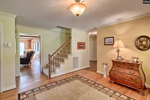 307 Old Bush River Rd, Chapin, SC 29036 - Photo 6