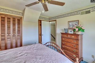 307 Old Bush River Road, Chapin, SC 29036 - Photo 28