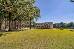 307 Old Bush River Rd, Chapin, SC 29036 - Photo 46